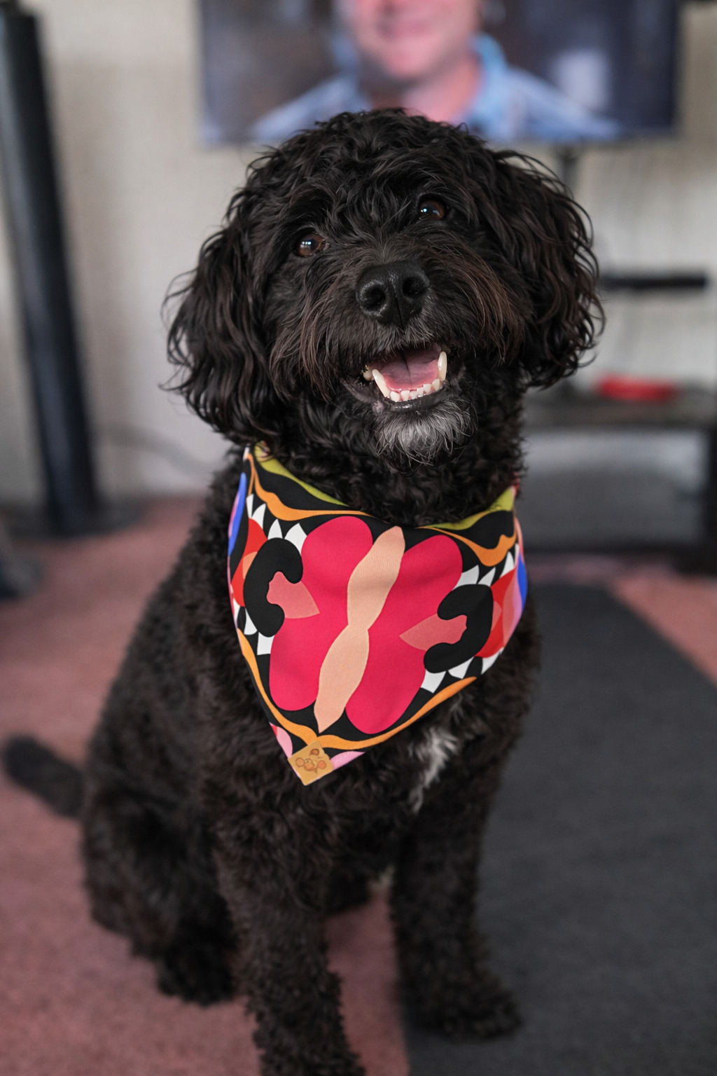 Bubba — Pup of the Month